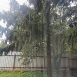 Гостиничный комплекс Щёкино, фото гостя