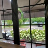 Гостевой дом Вилла Татьяна на Верхнеозерной, фото гостя