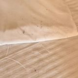 Отель Корона, фото гостя