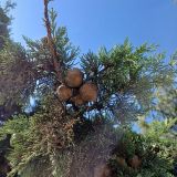 База отдыха Семейный парк Озеро, фото гостя