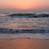 База отдыха Золотые пески, фото гостя