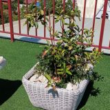 Гостевой дом Винговер, фото гостя