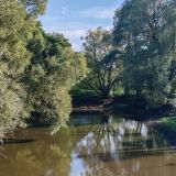 Парк-Отель Золотой город, фото гостя