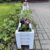 Зеленогорск, фото отдыхающего в июне