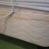 Отель Бронзовый кабан, фото гостя