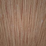 Отель Бронзовый кабан, фото гостя