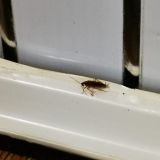 Like Hostel Рязань, фото гостя