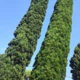 Гостевой дом Волна 2, фото гостя