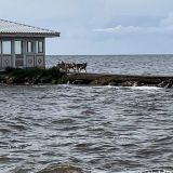 Гдов, фото отдыхающего в августе