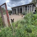 Гдов, фото отдыхающего в августе