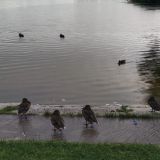 Загородный отель Belveder Hotel&Spa, фото гостя