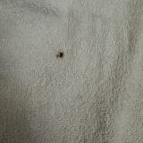 Берси Арбат Отель, фото гостя