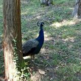 Апартаменты Happy Time in Sochi, фото гостя