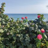 Отель Уют Тамани, фото гостя