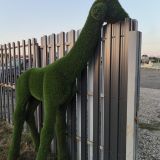 Эко-отель ВЕСЕЛОВКА ПАРК, фото гостя