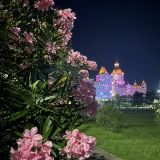 Сочинский район, фото отдыхающего в августе