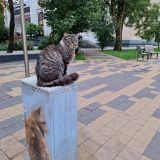 Калининград, фото отдыхающего в августе