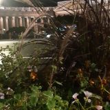 Санкт-Петербург, фото отдыхающего в августе