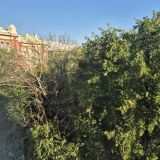 Гостиница Парк Сити, фото гостя