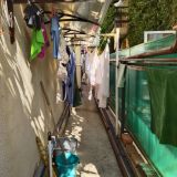 Гостевой дом У Валентины, фото гостя