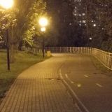 Мытищи, фото отдыхающего в августе