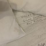 Гостевой дом Камелия, фото гостя