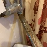 Гостевой дом Камелия, фото гостя