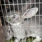 Arthurs Spa Hotel by Mercure, фото гостя