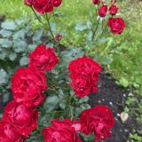 Arthurs Spa Hotel by Mercure, фото гостя