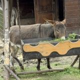 Arthurs Spa Hotel by Mercure, фото гостя