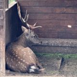 Arthurs Spa Hotel by Mercure, фото гостя