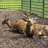 Arthurs Spa Hotel by Mercure, фото гостя