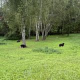 Arthurs Spa Hotel by Mercure, фото гостя