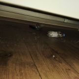 Хостел Звездное небо, фото гостя