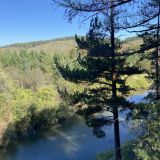 Отель Эдельвейс, фото гостя