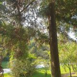 Отель Золотая бухта, фото гостя