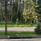 Санаторий Кстово, фото гостя