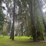 Санаторий Кстово, фото гостя