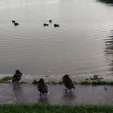 Загородный отель Belveder Hotel&Spa, фото гостя