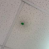 Отель Формула За рулём, фото гостя