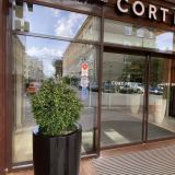 CORT INN St.-Petersburg Hotel & Conference Center, фото гостя