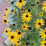 Спа-отель Аква Тоника, фото гостя