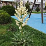 Курортный отель Бархатные Сезоны Семейный Квартал, фото гостя