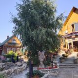 Куйбышевское водохранилище, фото отдыхающего в августе