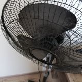 Отель Мечта, фото гостя