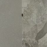 Гостевой дом Лина, фото гостя