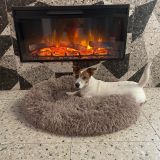 Барановичи, фото отдыхающего в августе