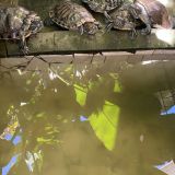 Гостевой дом Семейный клуб Арго, фото гостя