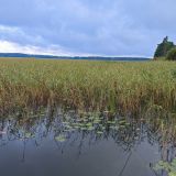 База отдыха Александровская, фото гостя