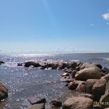 Зеленогорск, фото отдыхающего в августе
